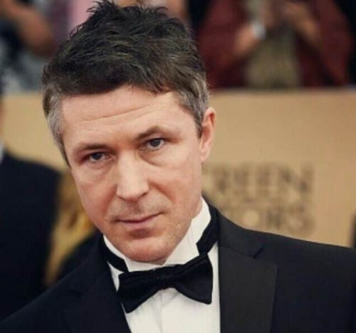 Aidan Gillen Net Worth, Age, Family, Girlfriend, Biography, and More