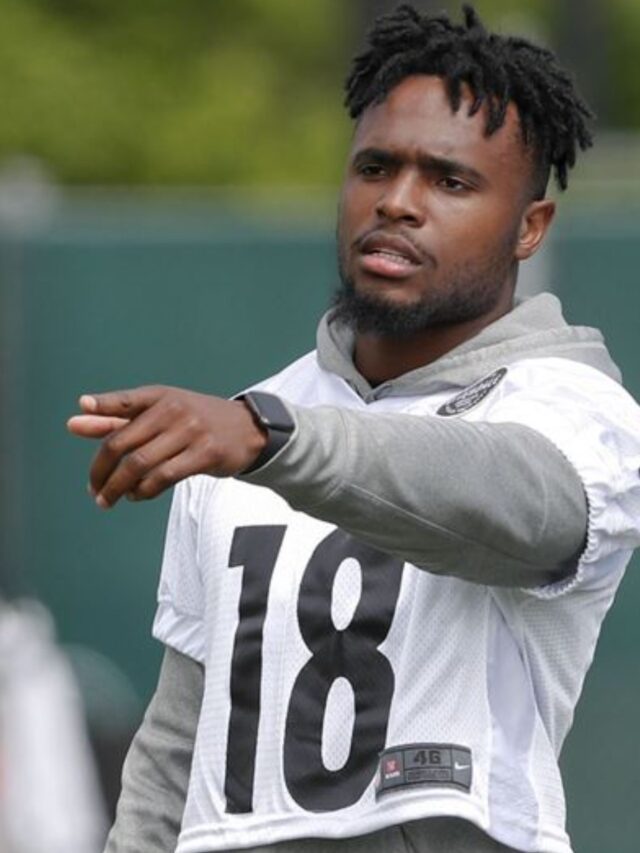 Diontae Johnson