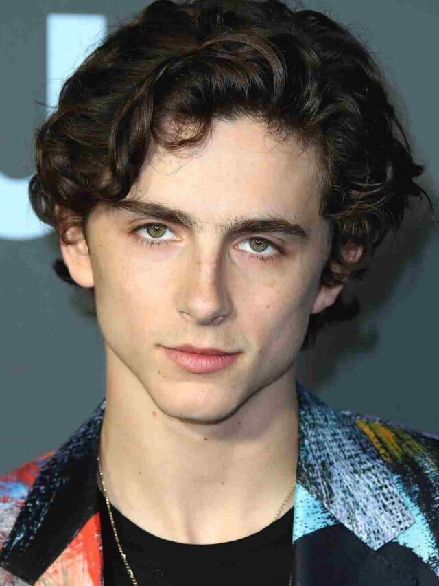 Timothee Chalamet Net Worth, Age, Family, Girlfriend, Biography, and More