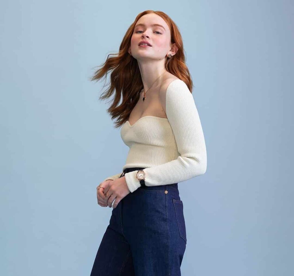 Sadie Sink Net Worth, Age, Family, Boyfriend, Biography, and More