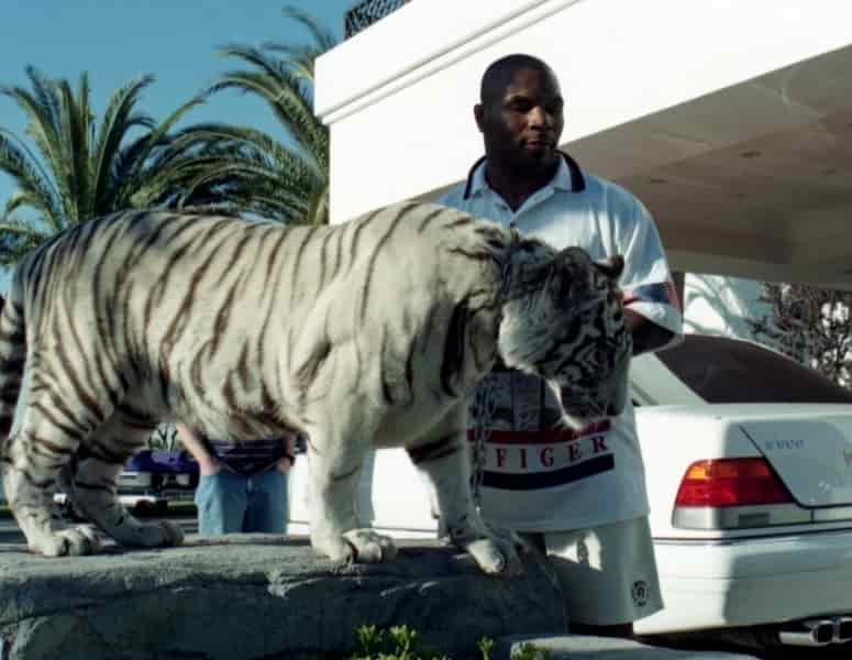 Mike Tyson, Bengal tigers