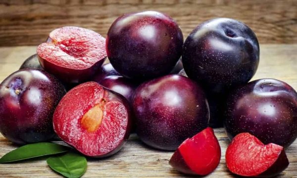 What are plums?