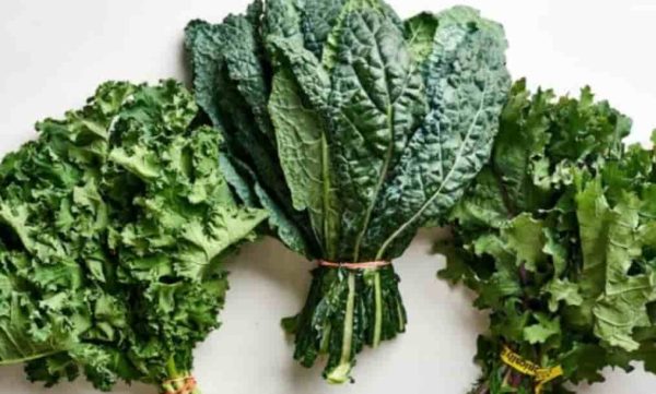 Types of Kale
