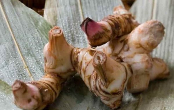 Galangal Benefits, and Side Effects