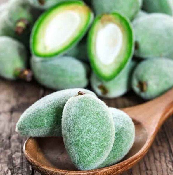 Benefits of Green Almonds for Health, Skin, and Hair
