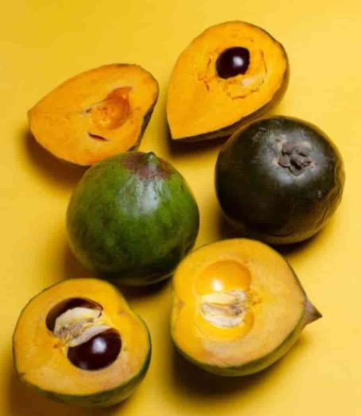 Benefits of Lucuma Fruit, Nutrition Facts, and Side Effects 